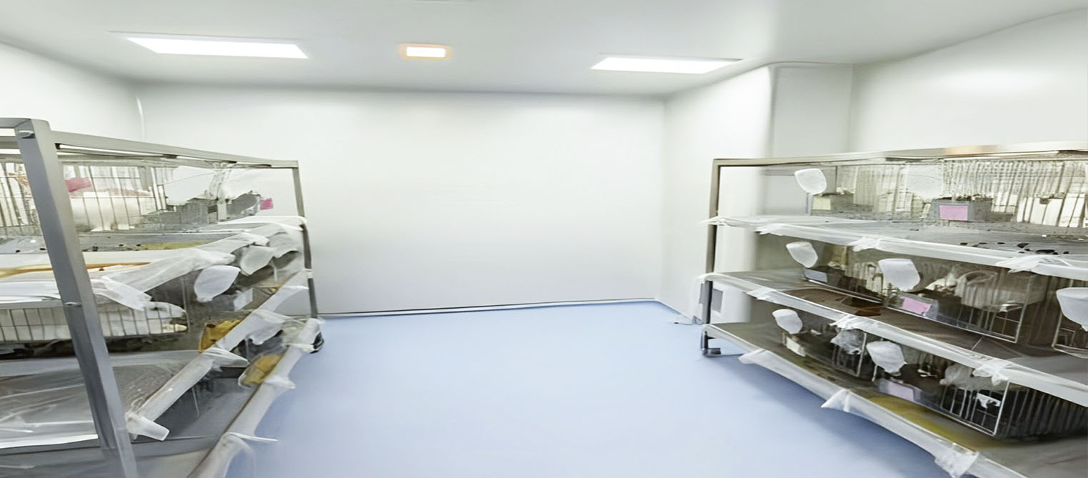 應用視頻